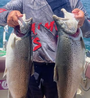 Lines in, worries out.