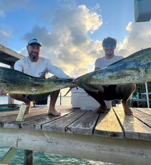 Trophy Mahi Mahi just off the coastline!