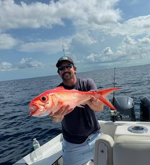 Chasing snapper fish in blue waters!