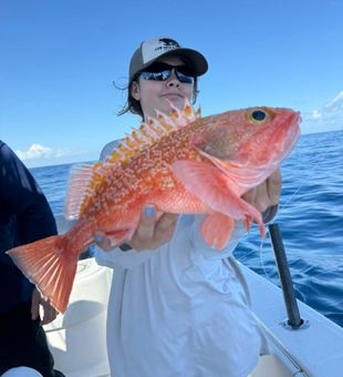 Rockfish day trip results