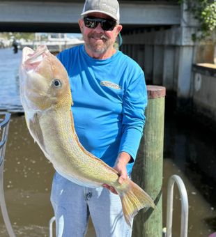 Golden Tilefish landed near the reef