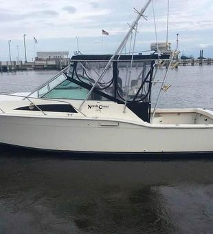 All Aboard at Port Aransas Fishing Charters Thrill
