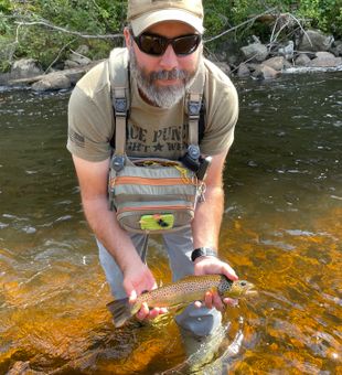 Cold Adirondack waters holding wild trout in the Saranac River.