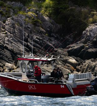 Pure tranquility on BC’s coast