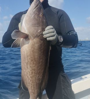 West Palm Beach, where the fish bite year-round.