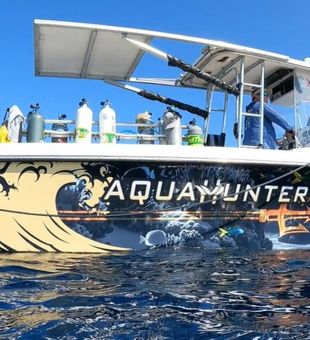 Hands-on adventure harvesting lobsters on a guided lobster trip West Palm Beach.