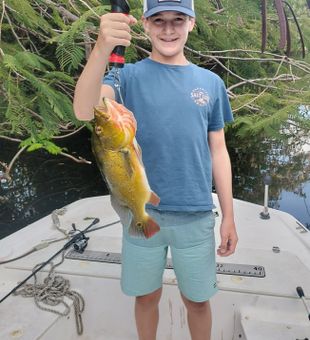 Beautiful peacock bass from North Palm Beach waters!