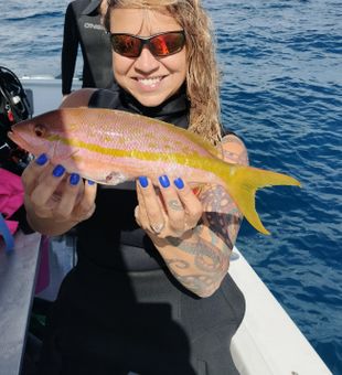 Beautiful yellowfin from North Palm Beach waters!