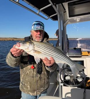 Cast your line through Avalon’s coastal waters and experience the excitement of inshore fishing surrounded by the beautiful scenery of the New Jersey shoreline.
