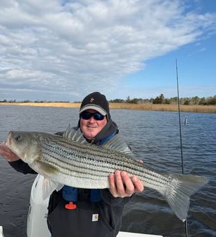 From back bays to shallow coastal waters, Avalon offers exciting fishing opportunities for anglers looking to make the most of their time on the water.