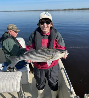 Nice striped bass from Avalon NJ waters!