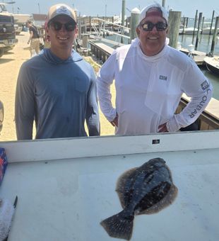 Nice summer flounder action in Avalon NJ!