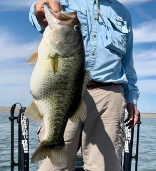 Solid Hookset at O.H. Ivie