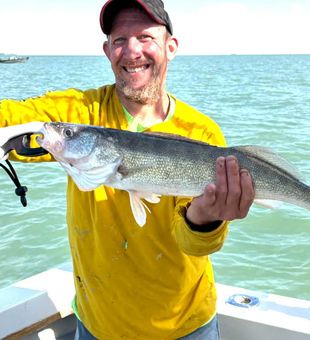 Nice Lyman SC walleye ready for the cooler!