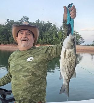 Nice striped bass from Lyman SC waters!