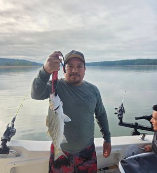 Nice striped bass caught in Lyman SC!
