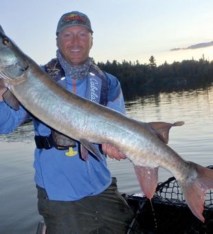 Muskie Angle Inlet, MN