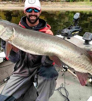 Muskie Angle Inlet, MN