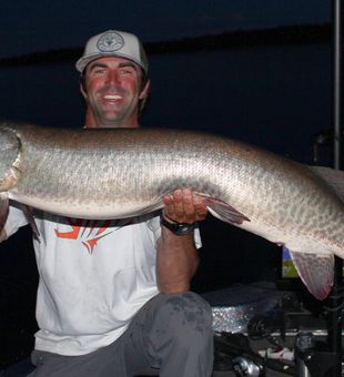 Angle Inlet, MN Large Muskie Hooked