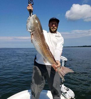 Red Drum in Port Canaveral, FL