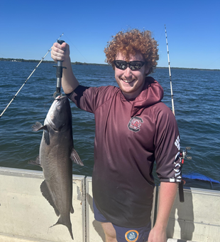 Santee Cooper Lakes blue catfish brought to the boat!