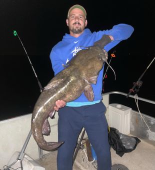 Catfish Catch from Santee Cooper
