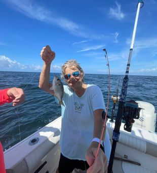 Sunrise starts, fish on deck.