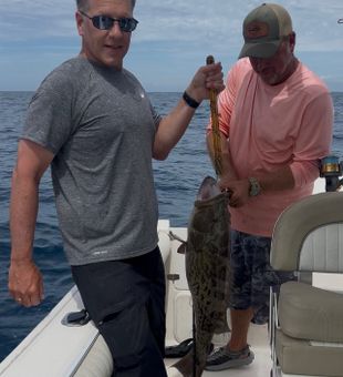 Beautiful gag grouper landed in Niceville waters!
