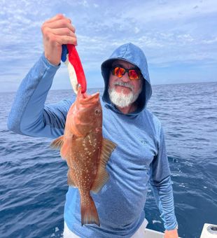 Nice red grouper from Niceville FL waters!