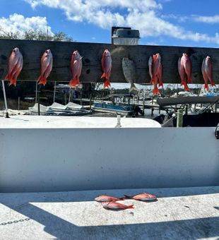 Niceville days are made for fishing.