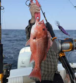 Trolling for treasure in Niceville's cloudy seas!