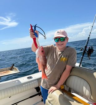 Snap, reel, repeat.