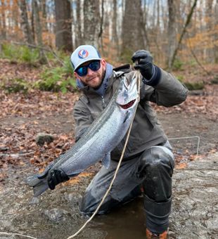 Strong steelhead catch on this lively river morning.