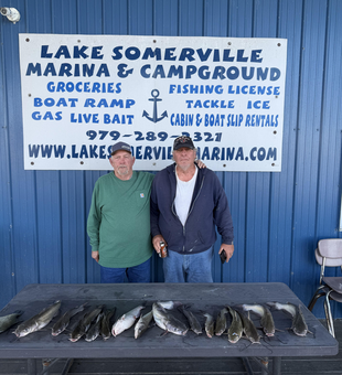 Lake Somerville blue catfish haul pays off big!