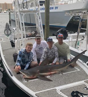 Shark caught in Panama CIty Beach, FL.