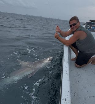 Catch, release, and repeat