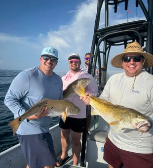Redfish runs in PCB’s calm waters