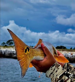 Offshore fishing in Panama City Beach, FL — deep water, blue horizons, and nonstop Gulf action.
