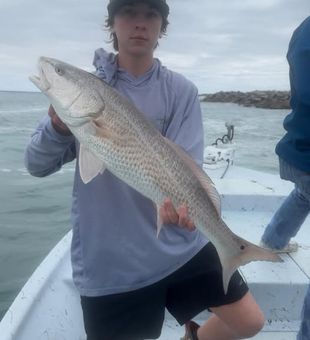 Redfish reeled in - Panama Beach, FL.