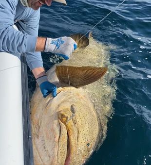 It's called a Goliath for a reason - PCB fishing