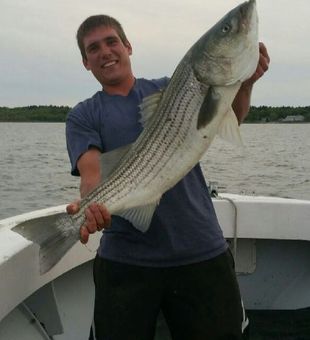 Calm Waters, Big Fish in MA