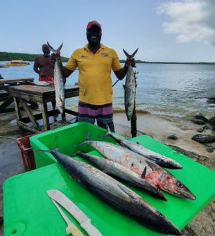 Tuna time in Trinidad’s deep seas! 