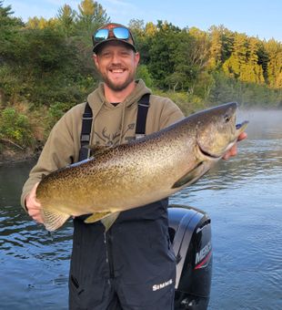 Chinook Salmon Catch in Michigan Fishing Trips