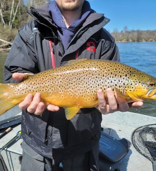 Reel in trophy fish on Michigan’s scenic waters to