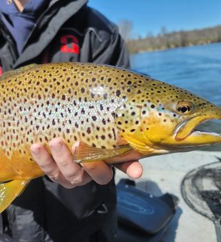 Experience top-tier angling with Captain Zach Geor