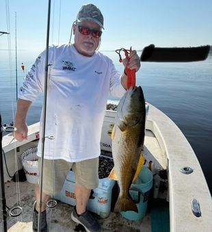 Redfish Day - Greenville, NC.