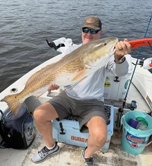 Monster Reds are here - Greenville, NC.