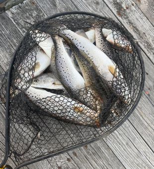 Explore the waters of Eastern North Carolina.