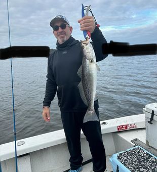 Sea Trout strikes make the heart race.