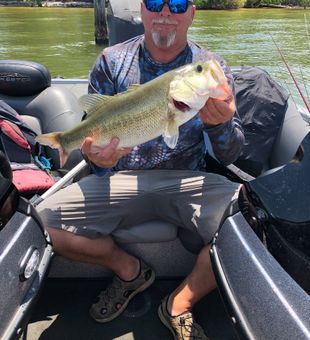 Big Lake Fork largemouth bass action!